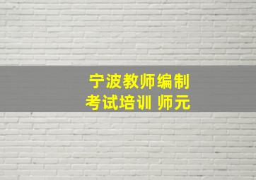 宁波教师编制考试培训 师元